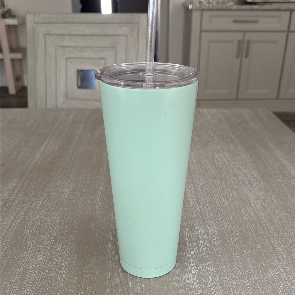 Mint Green Insulated Tumbler with Straw